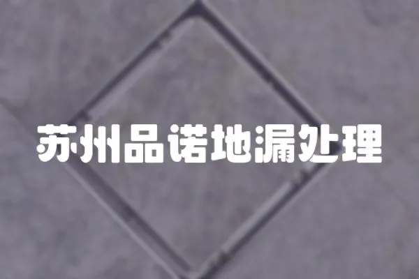 蘇州品諾地漏處理