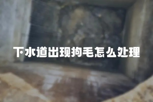 下水道出現狗毛怎么處理