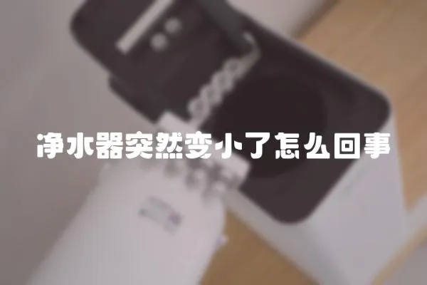 凈水器突然變小了怎么回事