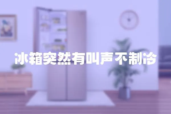 冰箱突然有叫聲不制冷