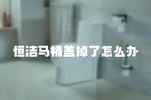 恒潔馬桶蓋掉了怎么辦