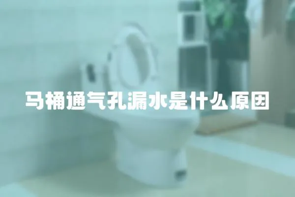 馬桶通氣孔漏水是什么原因
