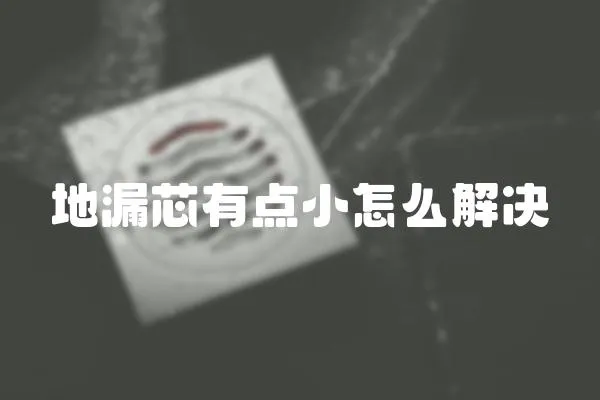 地漏芯有點小怎么解決