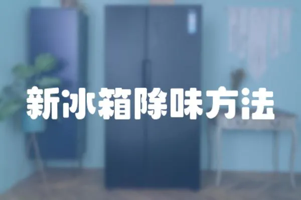 新冰箱除味方法
