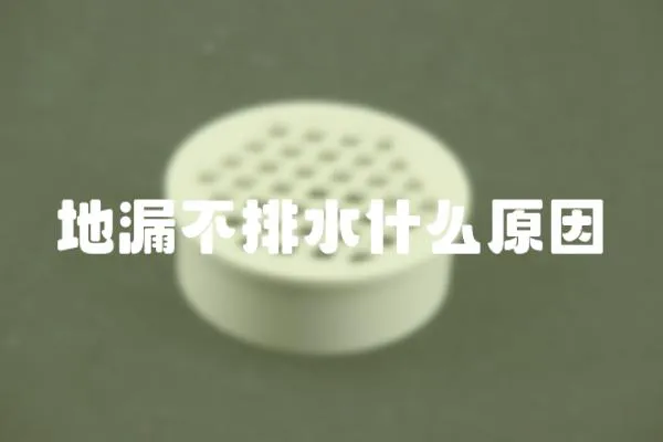 地漏不排水什么原因