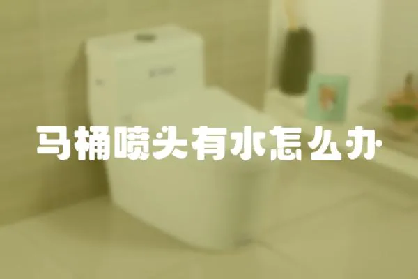 馬桶噴頭有水怎么辦