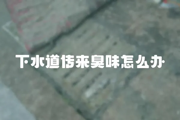 下水道傳來臭味怎么辦