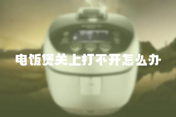 電飯煲關上打不開怎么辦