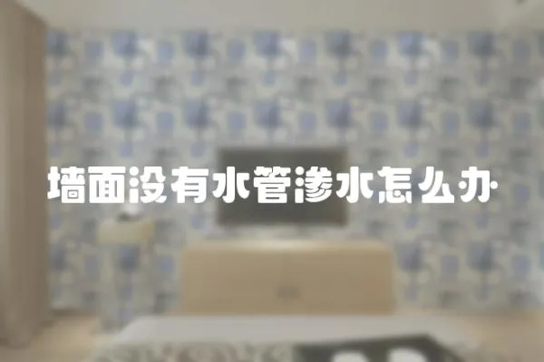墻面沒有水管滲水怎么辦