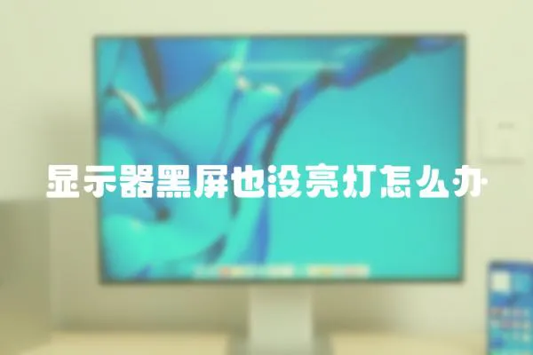 顯示器黑屏也沒亮燈怎么辦