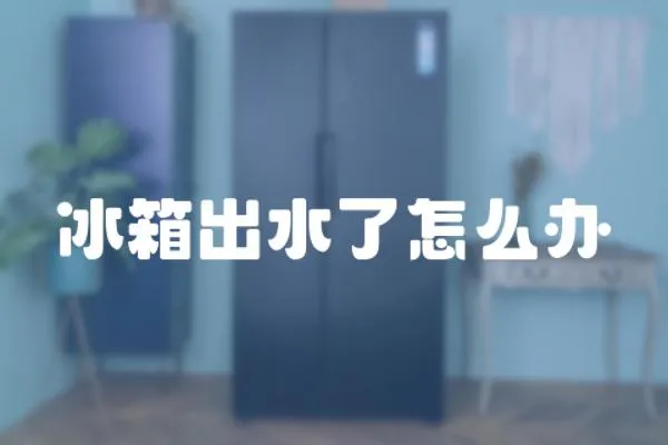 冰箱出水了怎么辦