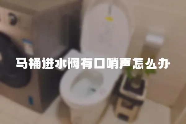馬桶進水閥有口哨聲怎么辦