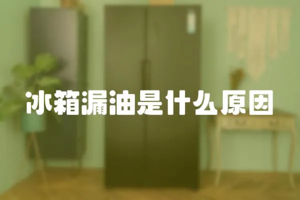 冰箱漏油是什么原因