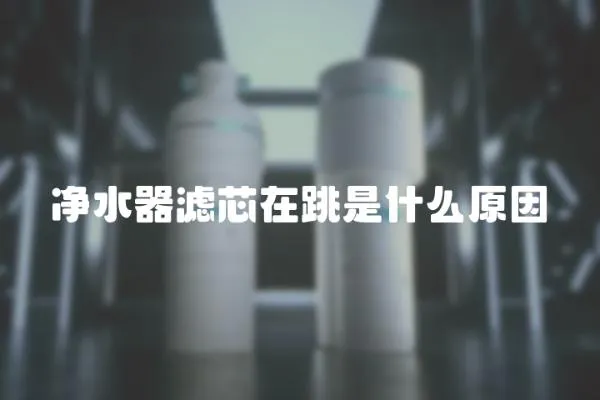 凈水器濾芯在跳是什么原因