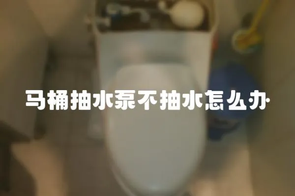馬桶抽水泵不抽水怎么辦
