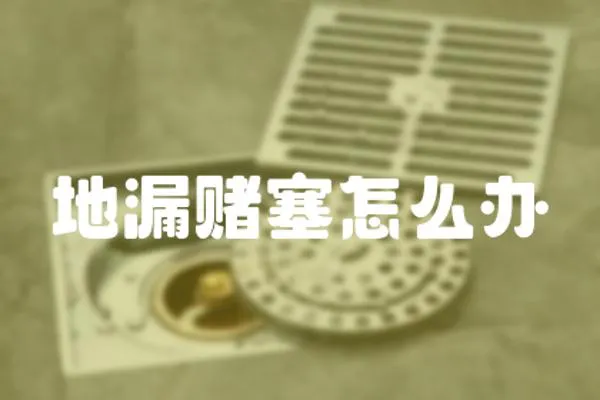 地漏賭塞怎么辦