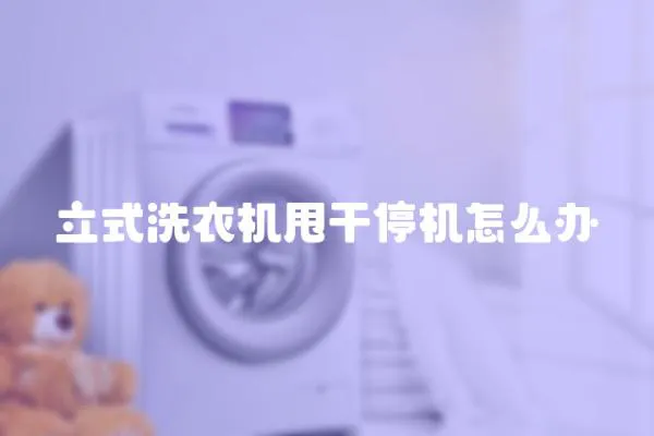 立式洗衣機甩干停機怎么辦