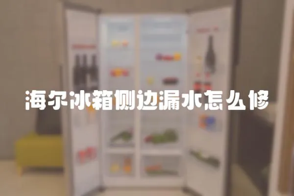 海爾冰箱側邊漏水怎么修
