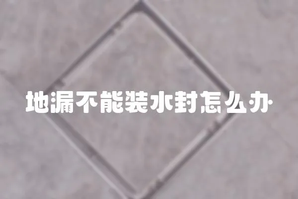 地漏不能裝水封怎么辦