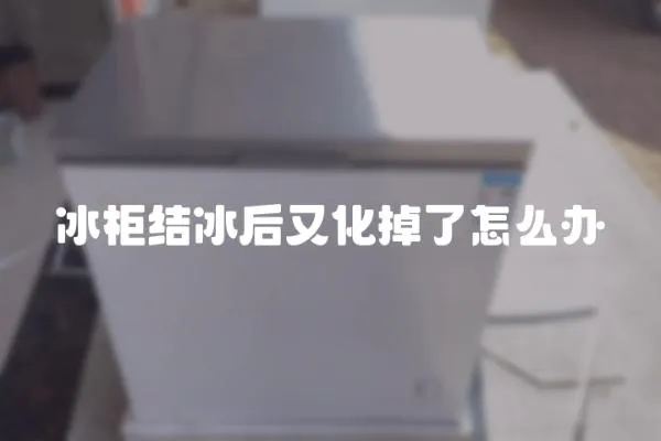 冰柜結(jié)冰后又化掉了怎么辦