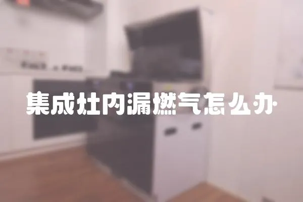 集成灶內漏燃氣怎么辦