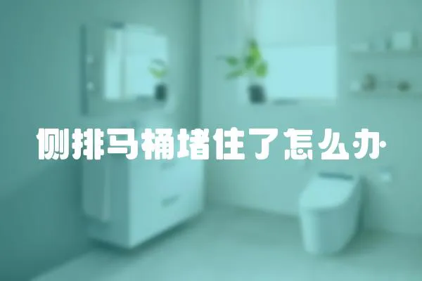 側排馬桶堵住了怎么辦