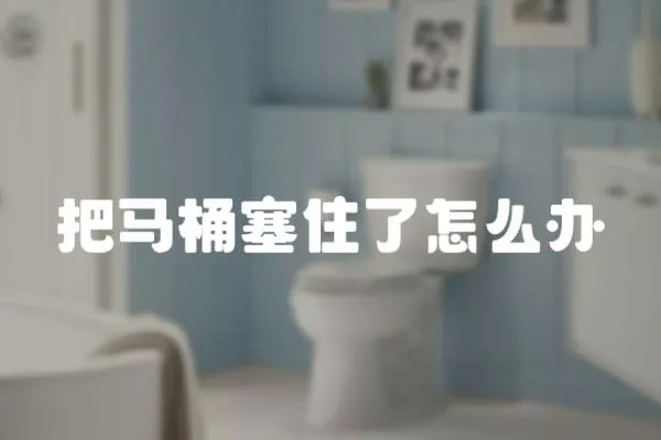 把馬桶塞住了怎么辦