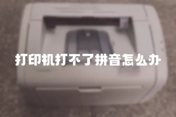 打印機打不了拼音怎么辦