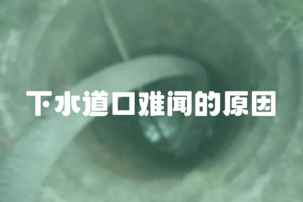 下水道口難聞的原因