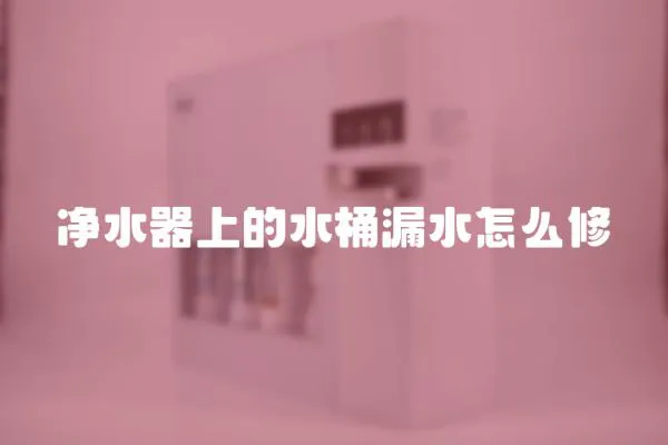 凈水器上的水桶漏水怎么修