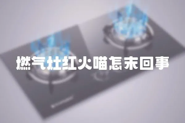 燃?xì)庠罴t火喵怎末回事