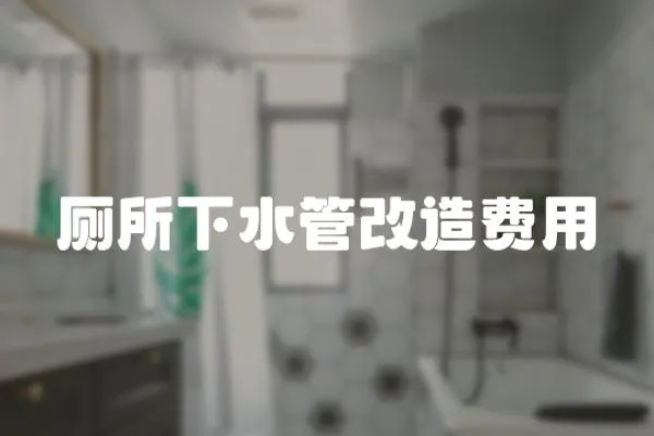 廁所下水管改造費用
