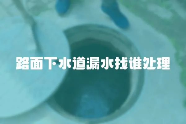路面下水道漏水找誰處理