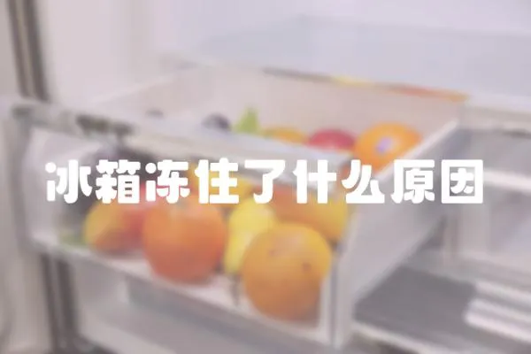 冰箱凍住了什么原因