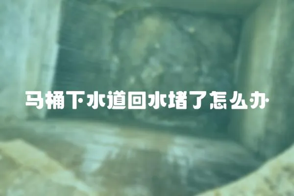 馬桶下水道回水堵了怎么辦