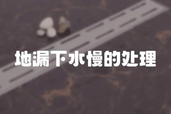 地漏下水慢的處理