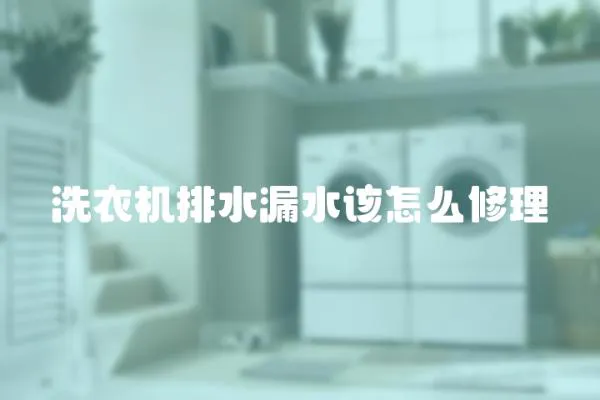 洗衣機排水漏水該怎么修理