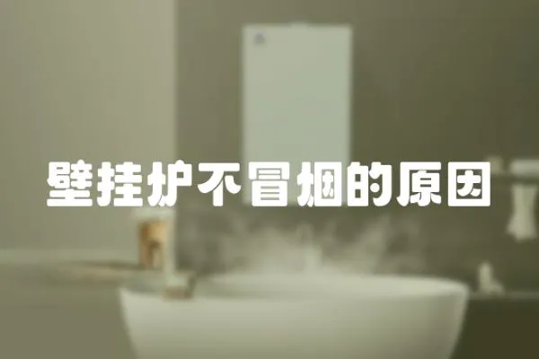 壁掛爐不冒煙的原因