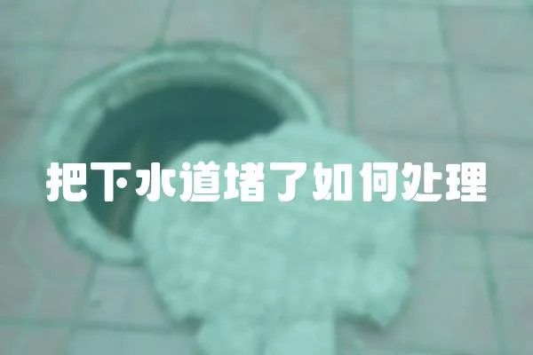 把下水道堵了如何處理