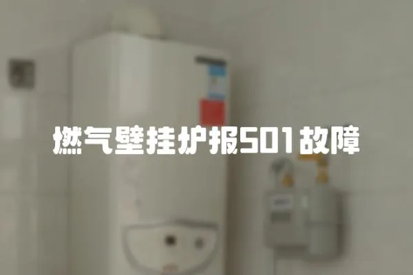 燃气壁挂炉报501故障