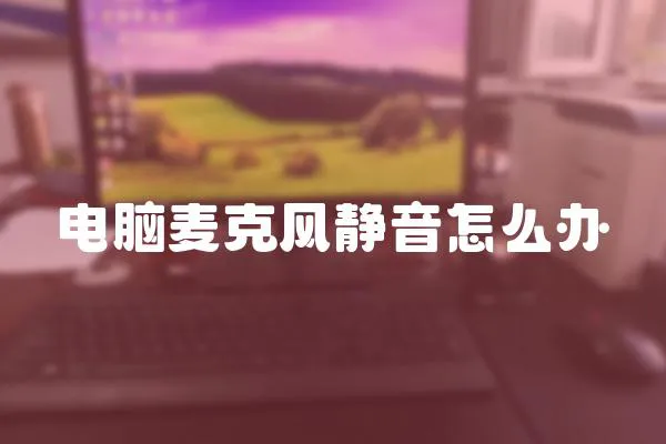 電腦麥克風(fēng)靜音怎么辦