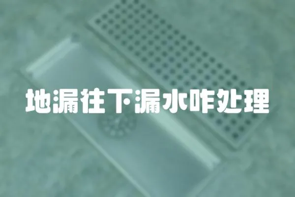 地漏往下漏水咋處理