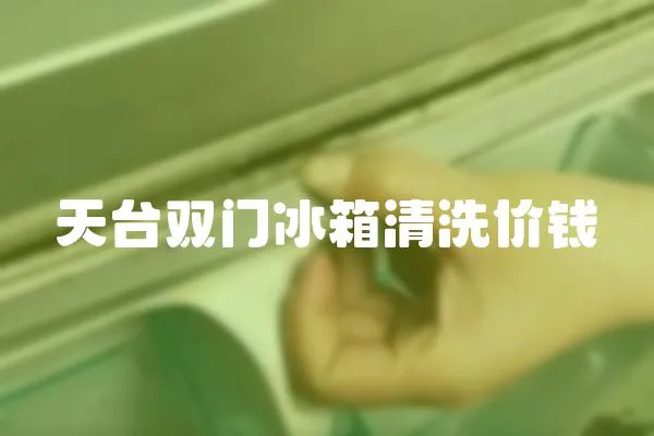 天臺雙門冰箱清洗價錢