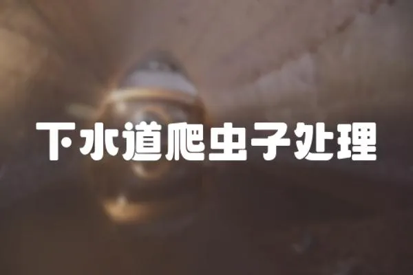 下水道爬蟲子處理