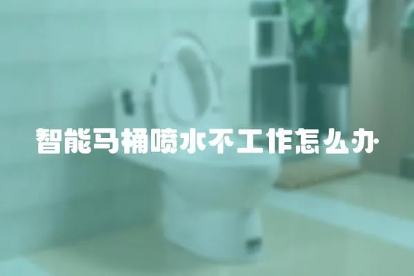 智能馬桶噴水不工作怎么辦