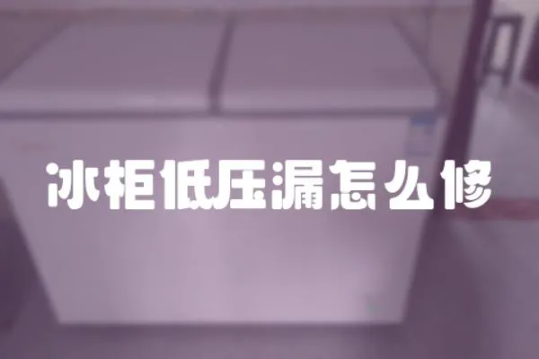 冰柜低壓漏怎么修