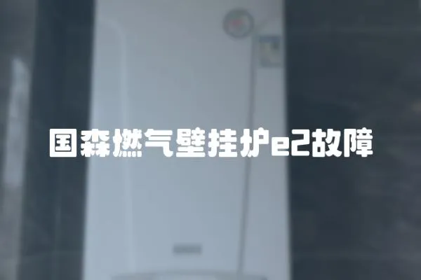 國森燃氣壁掛爐e2故障