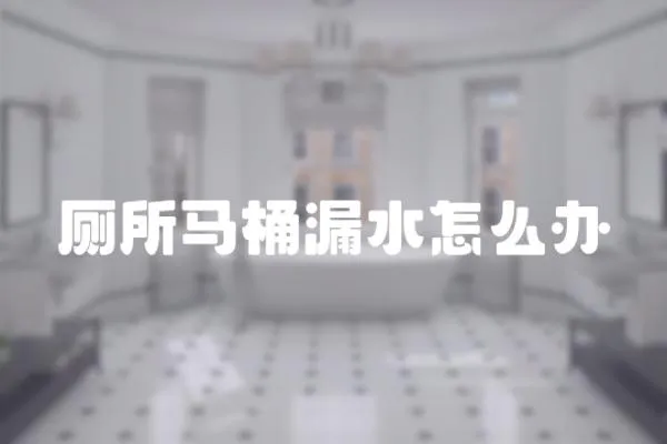 廁所馬桶漏水怎么辦