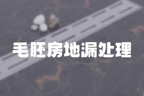 毛胚房地漏處理