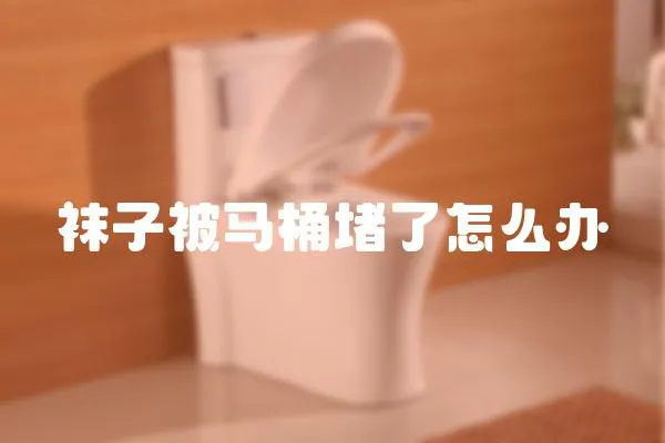 襪子被馬桶堵了怎么辦